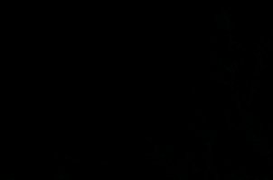 Coal River Farm photo 3