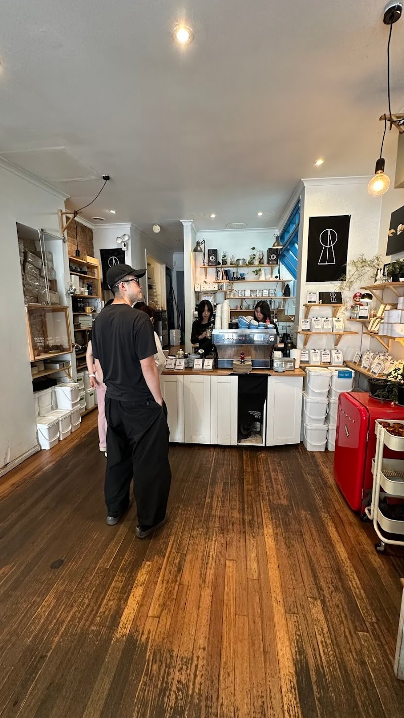 Little Rogue. photo 5