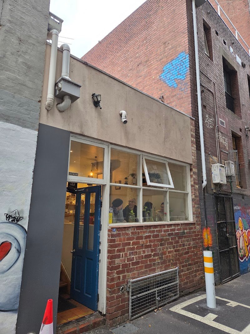 Little Rogue. photo 6